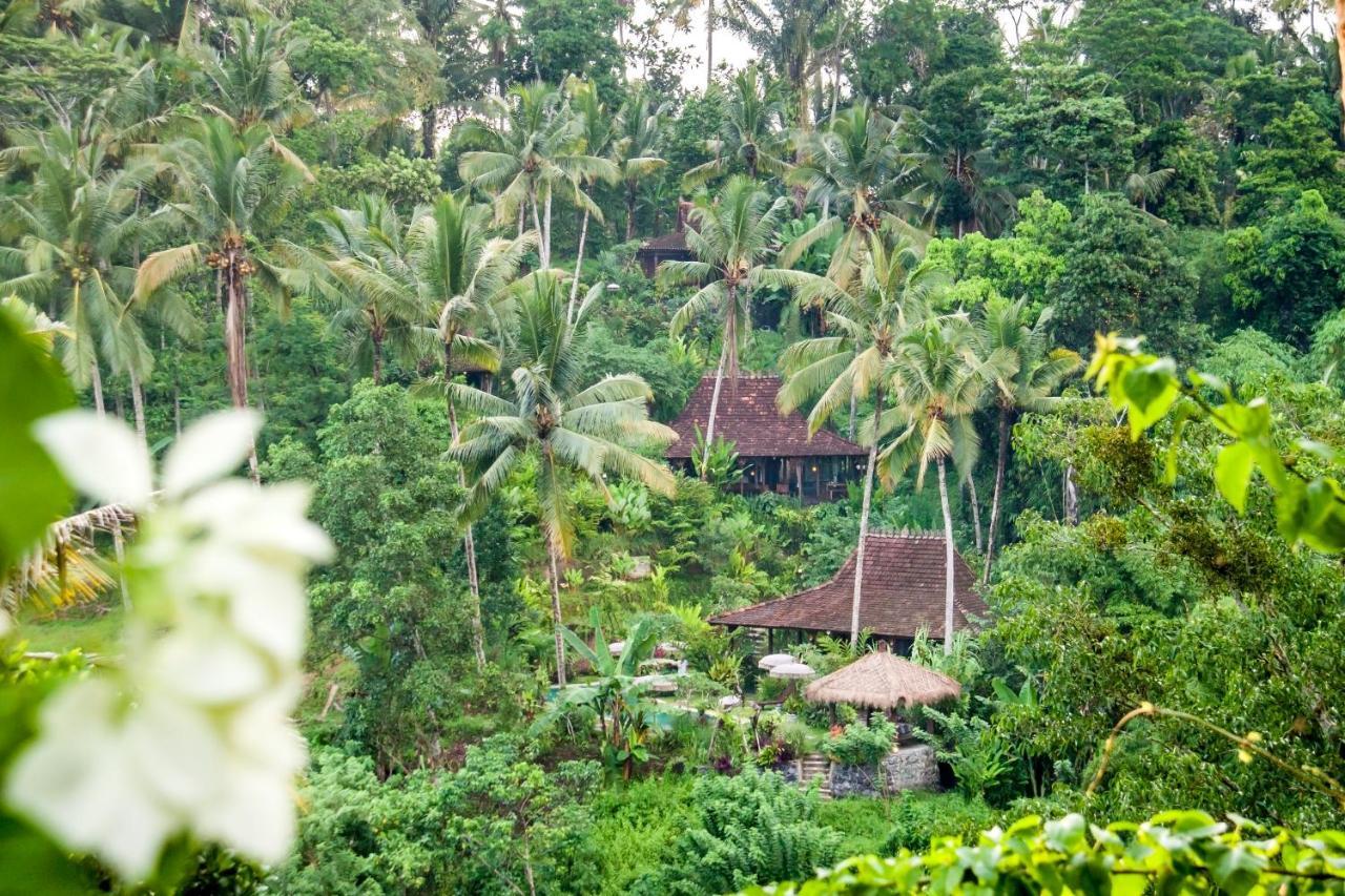 Villa Mahadevi Jungle Retreat Joglo 1 Ubud Eksteriør bilde